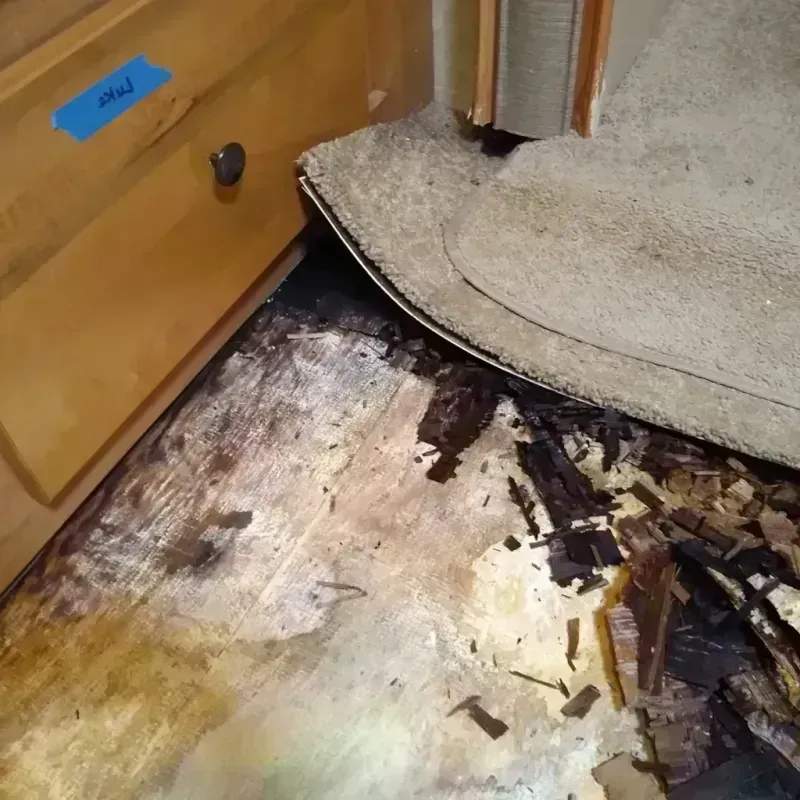 Wood Floor Water Damage in Perryton, TX